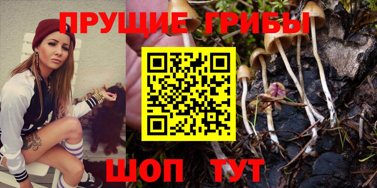 Кизилюрт  Псилоцибиновые грибы GOLDEN TEACHER  Вход с VPN  где купить наркоту  Галлюциногенные грибы Psilocybe 