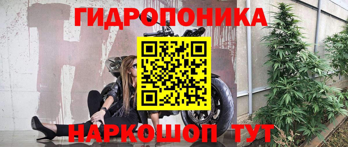 Шишки марихуана ГИДРОПОН  Каннабис Ganja  Марихуана White Widow  Кизилюрт  Каннабис семена  Вход с VPN 